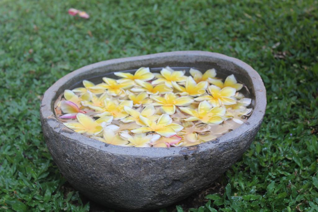 Odah Ayu Guest House Ubud Exteriör bild
